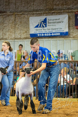 MAYES_COUNTY_FAIR_SHEEP-2953