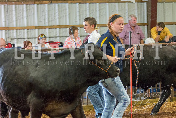 MAYES_COUNTY_FAIR_steer-3915