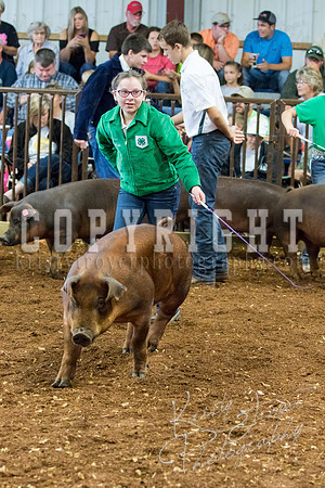 MAYES_COUNTY_FAIR_Swine-9515
