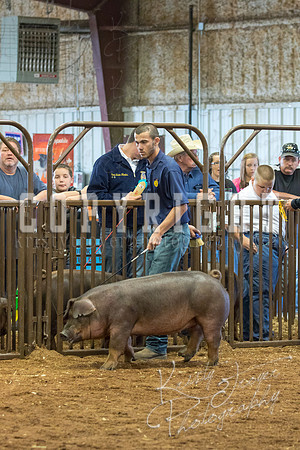 MAYES_COUNTY_FAIR_Swine-9559