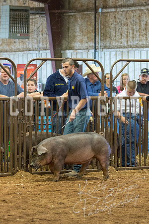 MAYES_COUNTY_FAIR_Swine-9560