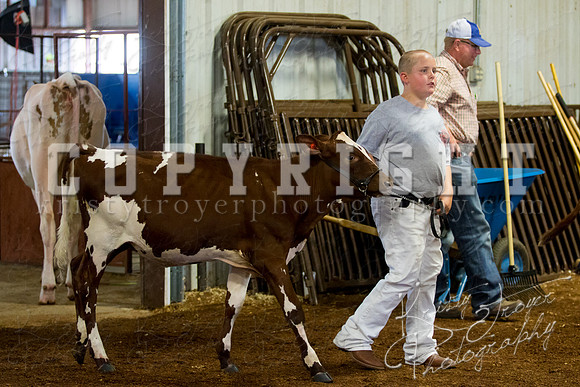 MAYES_COUNTY_FAIR_DAIRY-3391