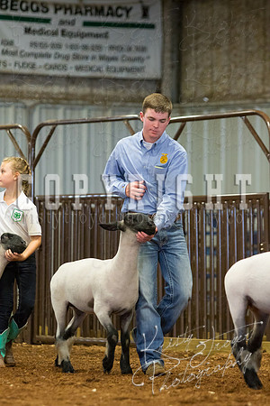 MAYES_COUNTY_FAIR_SHEEP-2944