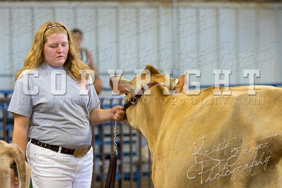 MAYES_COUNTY_FAIR_DAIRY-3390