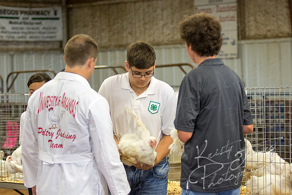 MAYES_COUNTY_FAIR_boiler-3843