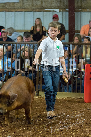 MAYES_COUNTY_FAIR_Swine-9478