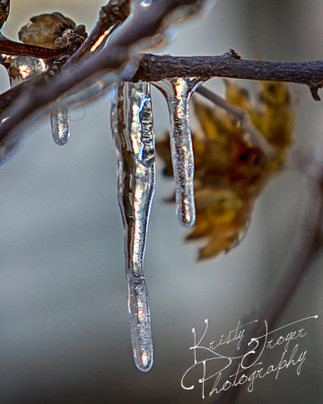 ice cycles
