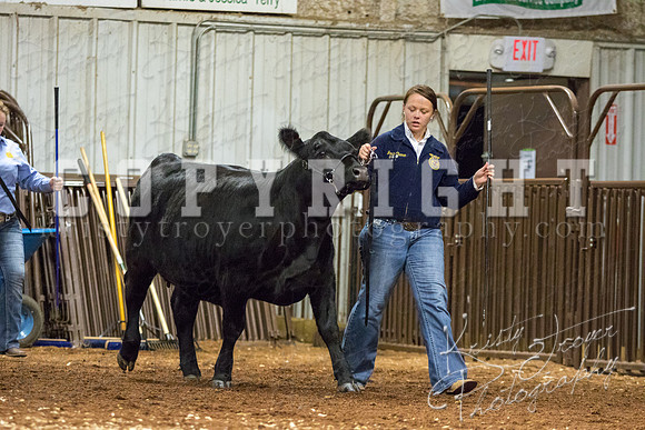 MAYES_COUNTY_FAIR_heifer-4107