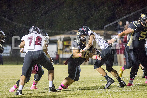 salina_vs_hollandhall_football-9663
