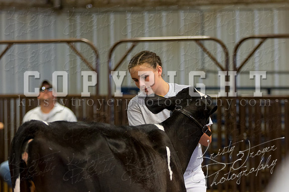 MAYES_COUNTY_FAIR_DAIRY-3323