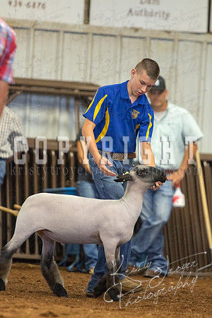MAYES_COUNTY_FAIR_SHEEP-2959