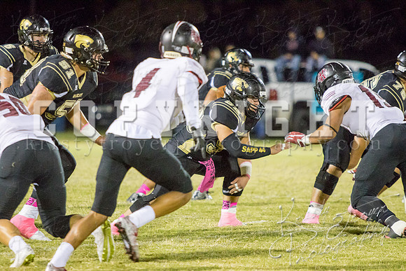 salina_vs_hollandhall_football-9713
