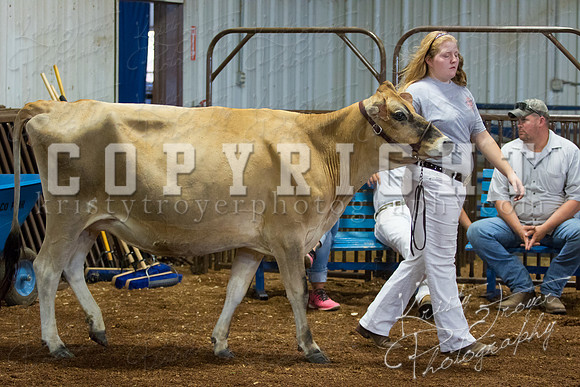 MAYES_COUNTY_FAIR_DAIRY-3383
