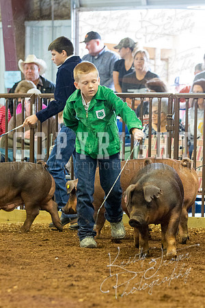 MAYES_COUNTY_FAIR_Swine-9502
