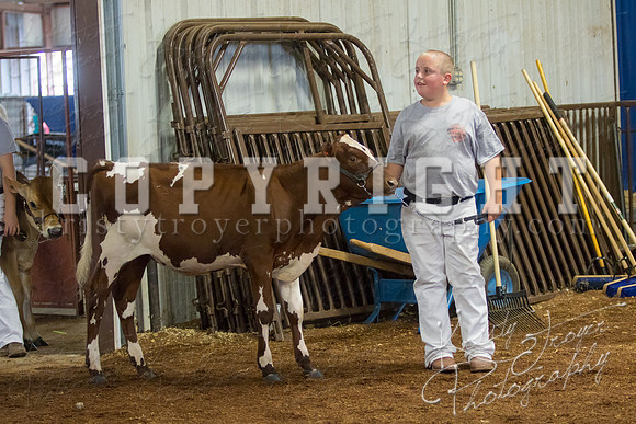MAYES_COUNTY_FAIR_DAIRY-3411