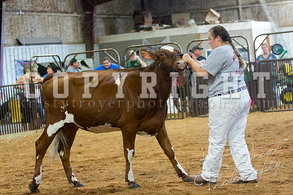MAYES_COUNTY_FAIR_DAIRY-3409
