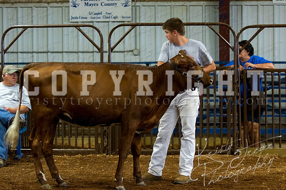 MAYES_COUNTY_FAIR_DAIRY-3426