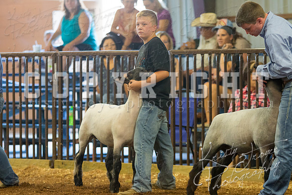MAYES_COUNTY_FAIR_SHEEP-2871