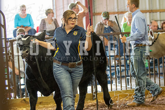 MAYES_COUNTY_FAIR_steer-3913
