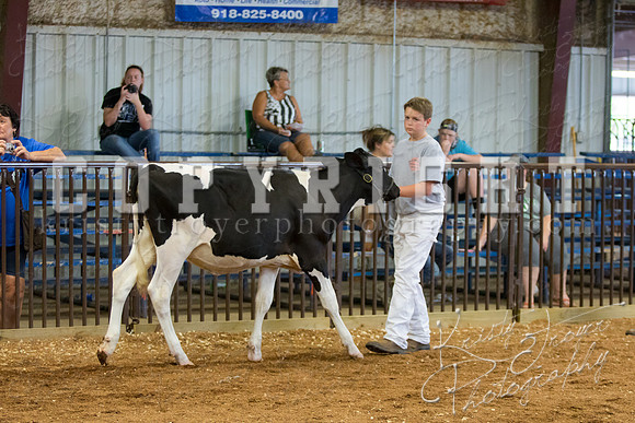 MAYES_COUNTY_FAIR_DAIRY-3316