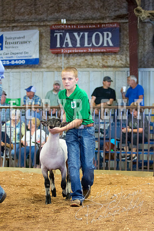 MAYES_COUNTY_FAIR_SHEEP-2941