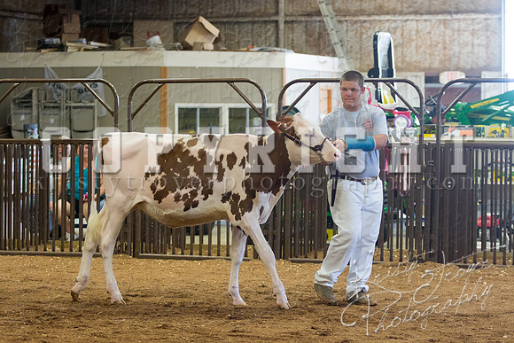 MAYES_COUNTY_FAIR_DAIRY-3334