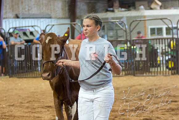 MAYES_COUNTY_FAIR_DAIRY-3406