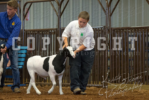 MAYES_COUNTY_FAIR_SHEEP-2895