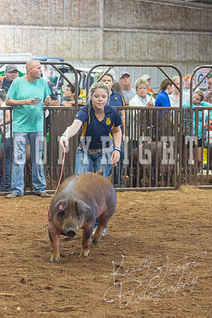 MAYES_COUNTY_FAIR_Swine-9564