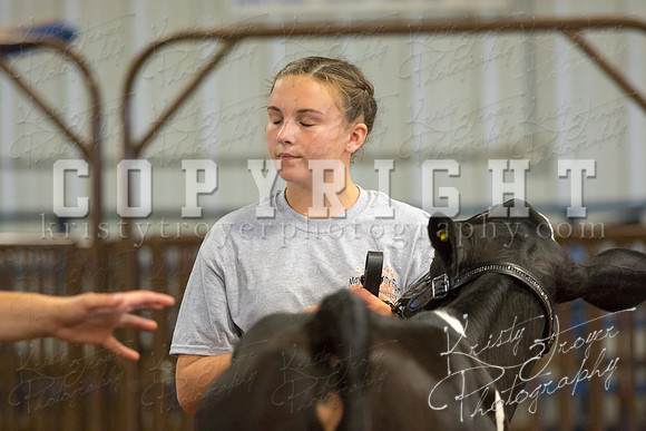 MAYES_COUNTY_FAIR_DAIRY-3326