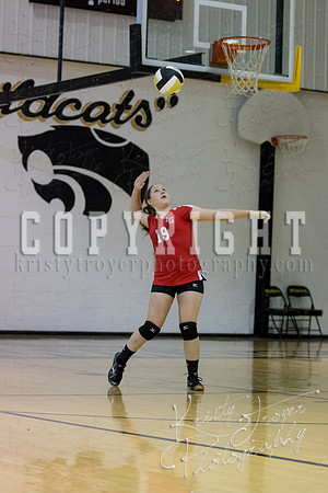salina_vs_locustgrove_volleyball-1105