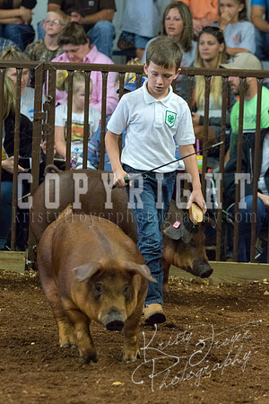 MAYES_COUNTY_FAIR_Swine-9484
