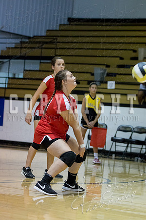 salina_vs_locustgrove_volleyball-1053