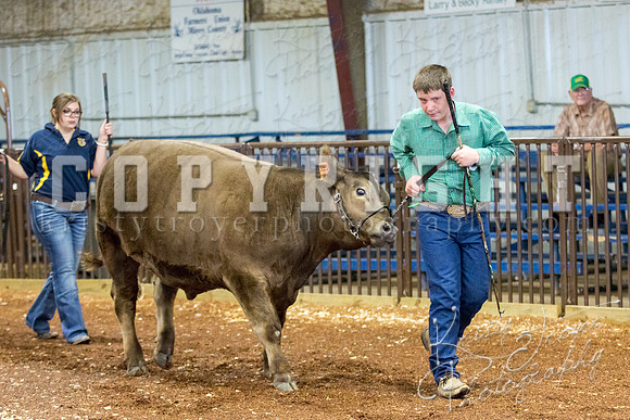 MAYES_COUNTY_FAIR_steer-3919