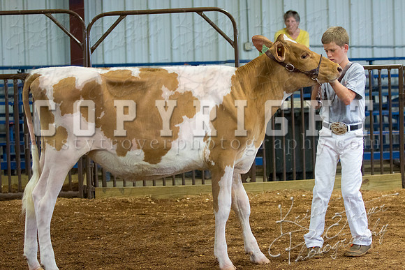 MAYES_COUNTY_FAIR_DAIRY-3305
