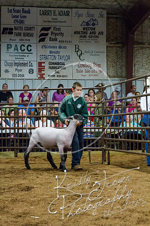 IMG_0115©KRISTYTROYER