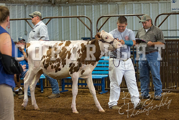 MAYES_COUNTY_FAIR_DAIRY-3330