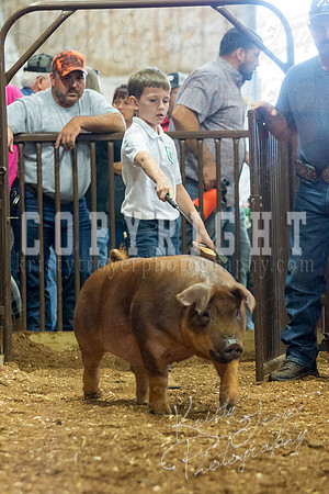 MAYES_COUNTY_FAIR_Swine-9529