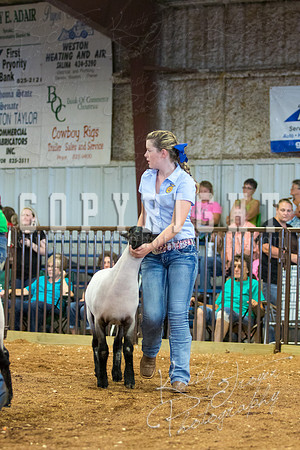 MAYES_COUNTY_FAIR_SHEEP-3110