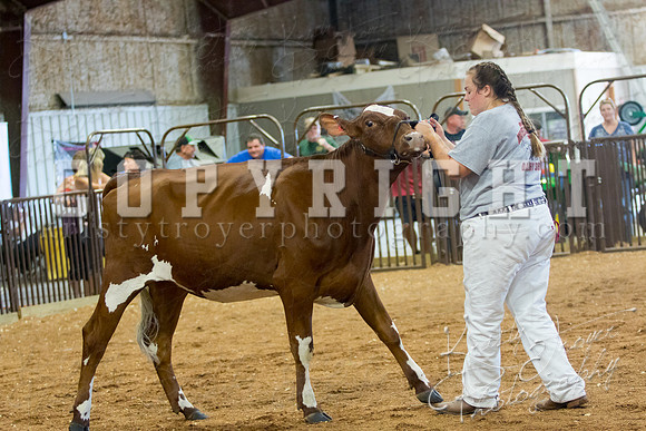 MAYES_COUNTY_FAIR_DAIRY-3408