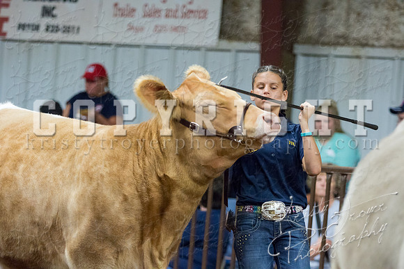 MAYES_COUNTY_FAIR_heifer-4161
