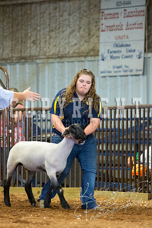 MAYES_COUNTY_FAIR_SHEEP-3112