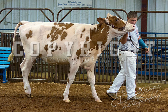 MAYES_COUNTY_FAIR_DAIRY-3441