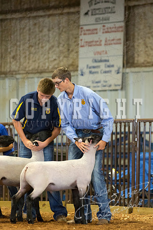 MAYES_COUNTY_FAIR_SHEEP-3086