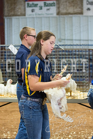 MAYES_COUNTY_FAIR_boiler-3850