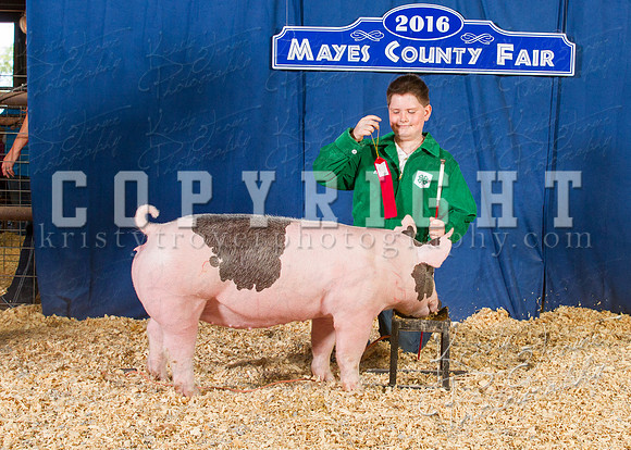 Mayes_County_Fair_Backdrop-0550