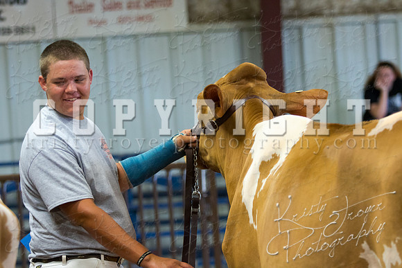 MAYES_COUNTY_FAIR_DAIRY-3313