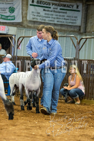 MAYES_COUNTY_FAIR_SHEEP-2963