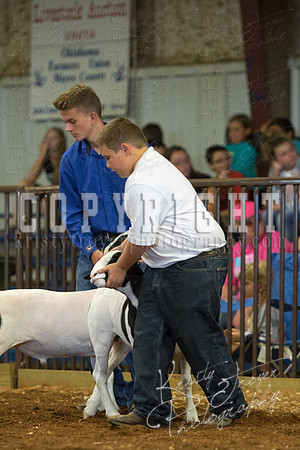 MAYES_COUNTY_FAIR_SHEEP-2899