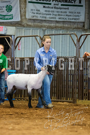 MAYES_COUNTY_FAIR_SHEEP-3124